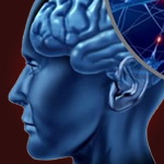 یادگیری و حافظه بهتر با مغز ماژولار