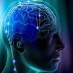 کشف یک شبکه مغزی جدید/ وضعیت یادگیری انسان