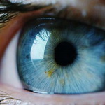 بررسی رابطه میان حرکات چشم و شخصیت با استفاده از هوش مصنوعی
