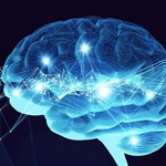 بررسی کارکرد داخلی حافظه کوتاه‌مدت با هوش مصنوعی